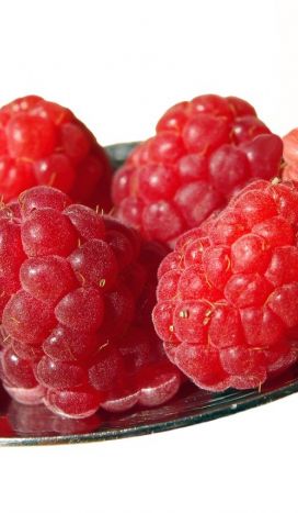 Verdens bedste hindbærsnitter opskrift